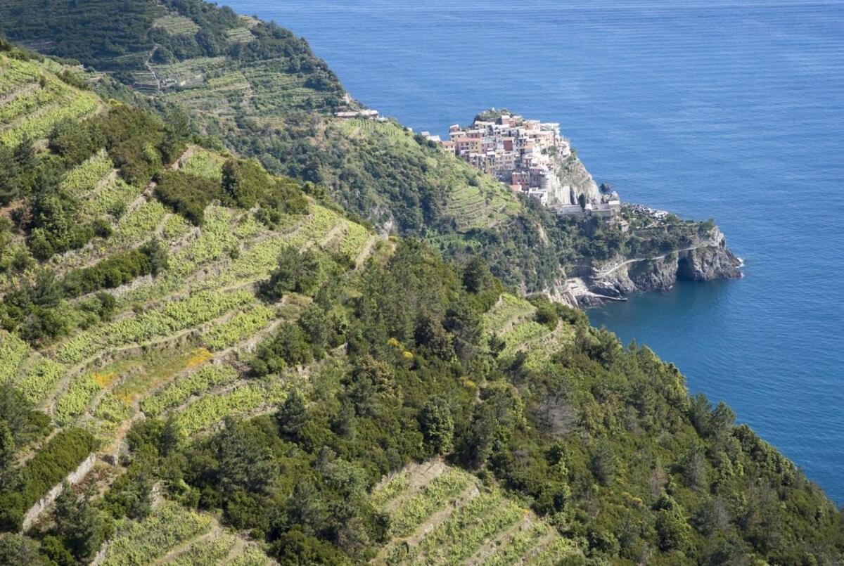 La Casa Fra Gli Ulivi Luxury Apartments With Pool Near Cinque Terre And Tuscany Monte Marcello Ngoại thất bức ảnh